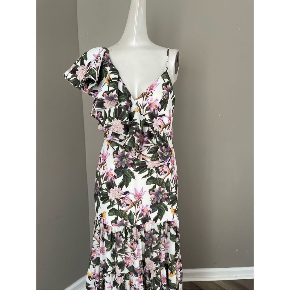 No Pise La Grama
Aracea Asymmetric Ruffled Maxi Dress - Picture 7 of 11